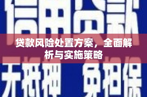 镇雄贷款风险处置方案，全面解析与实施策略