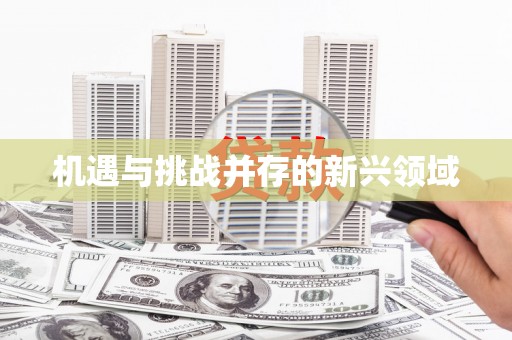 镇雄机遇与挑战并存的新兴领域