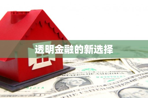 镇雄透明金融的新选择