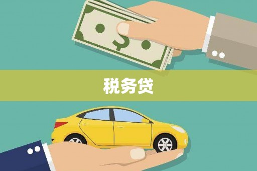 镇雄税务贷