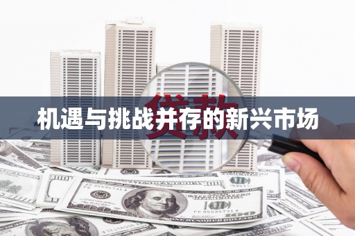 镇雄机遇与挑战并存的新兴市场