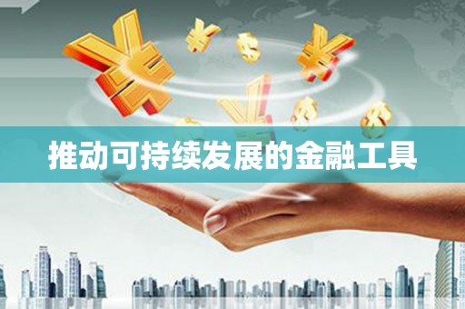 镇雄推动可持续发展的金融工具