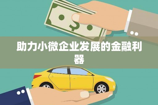 镇雄助力小微企业发展的金融利器