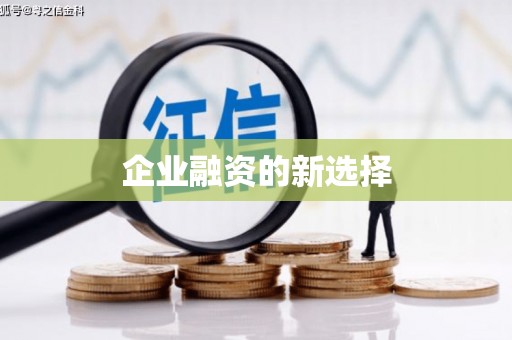 镇雄企业融资的新选择