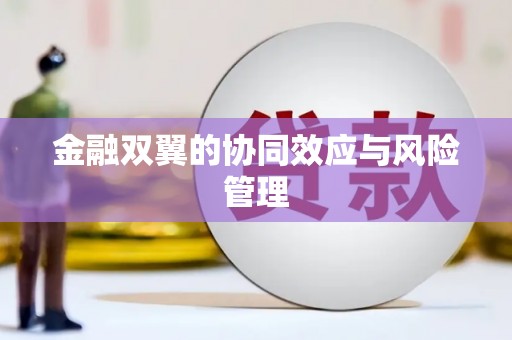 镇雄金融双翼的协同效应与风险管理