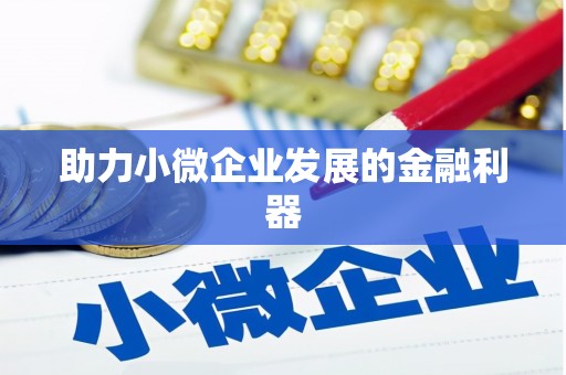 镇雄助力小微企业发展的金融利器