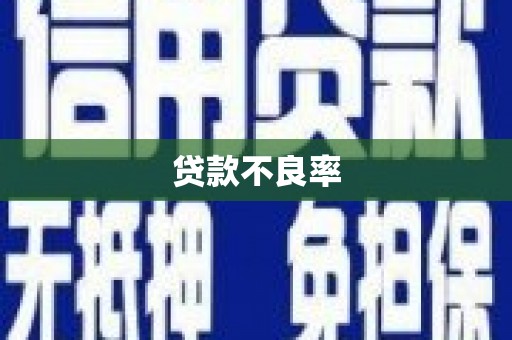 镇雄贷款不良率