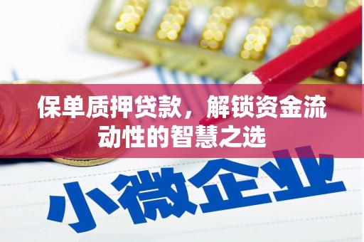 镇雄保单质押贷款，解锁资金流动性的智慧之选