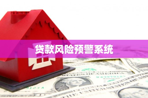 镇雄贷款风险预警系统