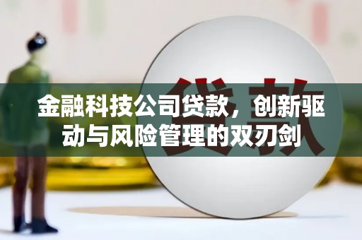 镇雄金融科技公司贷款，创新驱动与风险管理的双刃剑
