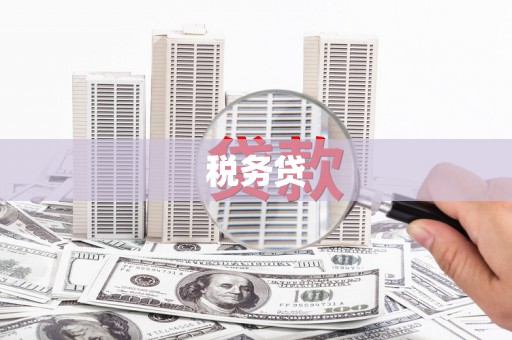 镇雄税务贷
